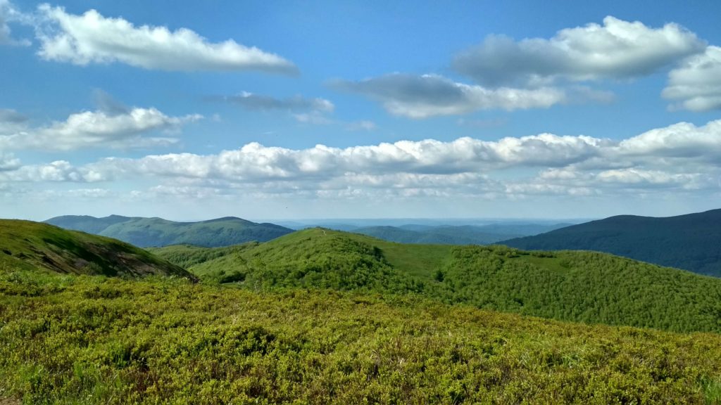 Rzucam wszystko i jadę w Bieszczady
