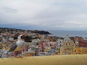 Procida